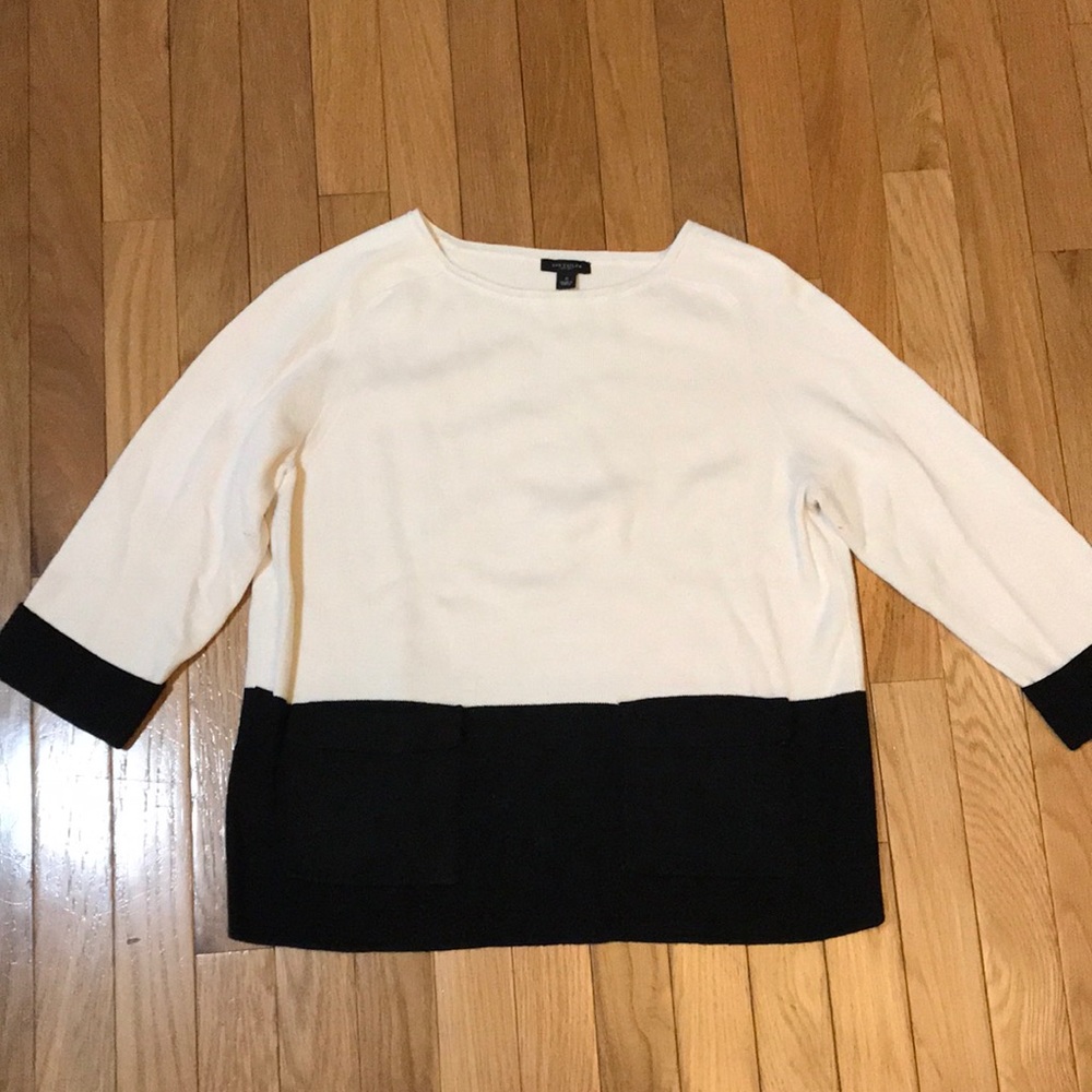 Ann Taylor Cream and Black Sweater-small